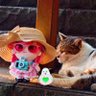 ⚓️ひすい🎀🐾's profile picture