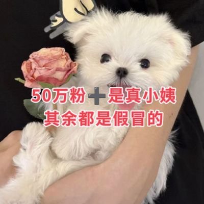 Y59391325's profile picture