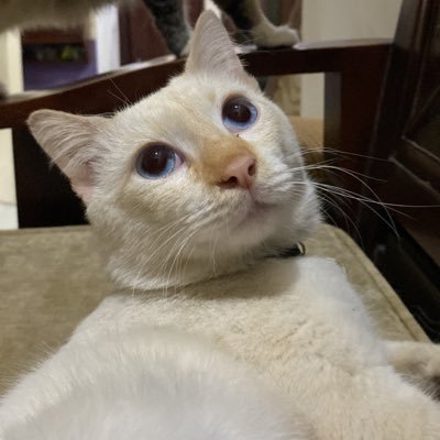 Dzii's profile picture