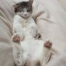 Фото профиля MOGES