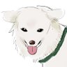 ごるる☔️🦔🍋💮💜47都道府県きたよ〜's profile picture