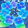 🦋 的头像
