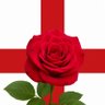 Elsie 🏴󠁧󠁢󠁥󠁮󠁧󠁿's profile picture