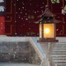 Фото профиля 玉龙