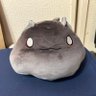 狂ちゃん🥳🫠's profile picture
