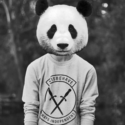 vinkopandic's profile picture