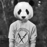 Profilbild von vinko