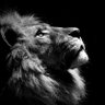 Mwakio's profile picture