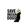 deepika garg's profile picture
