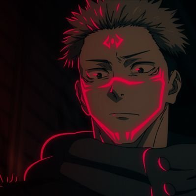ryosukuna100's profile picture