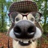 sdawds's profile picture