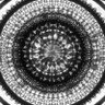 Ouroboros 的头像