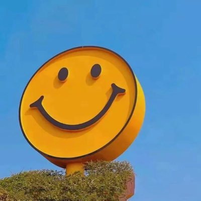 不搞艺术就搞你's profile picture