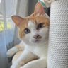 きら's profile picture