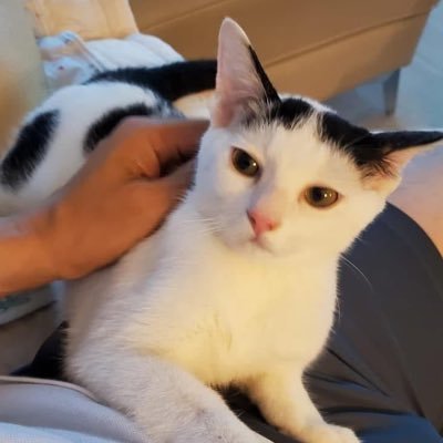 제티's profile picture