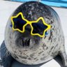 Profilbild von Chudman