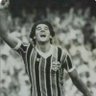 bernardo's profile picture