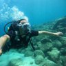 zkdnc profil fotoğrafı