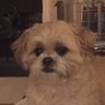 Joanne C.'s profile picture