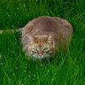 KittyWhipped07 profil fotoğrafı