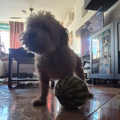 lore's profile picture