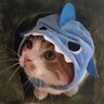 ๐ช๐ฌุงูู
ุตุฑู's profile picture