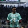 Sépi verdade's profile picture