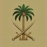 محمد القحطاني's profile picture