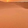 محمد القايدي's profile picture