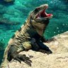 ドクタ👁️🫦👁️カマキリトボガン profil fotoğrafı
