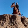 Ahmed's profile picture