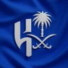 Profilbild von سعد HFC🥈