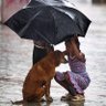 Restoring Your Faith in Humanity profil fotoğrafı