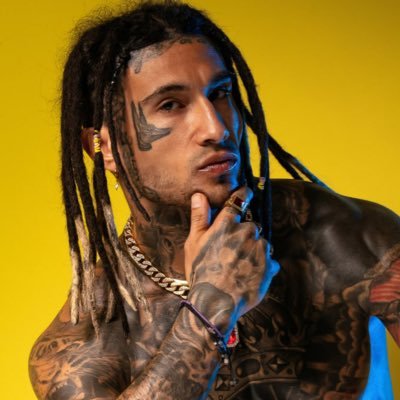 Dam 🐯's profile picture