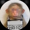 pasitaborracha's profile picture