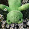 greenthetics💚's profile picture