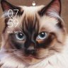 om ndut profil fotoğrafı
