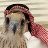 『 لـطـام 』彡 ✰🇸🇦's profile picture
