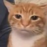 Profilbild von Nakyo