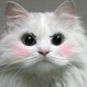BeijingPanda profil fotoğrafı