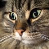 Profilbild von .