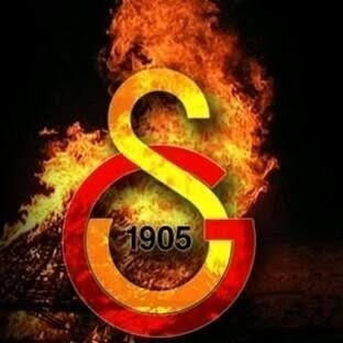 TamBesiktasli's profile picture