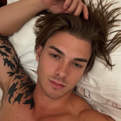 Alex's profile picture