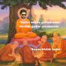 BhAAi bAbA 的头像