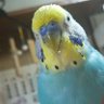 gonhuku1 profil fotoğrafı