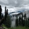 indus 的头像