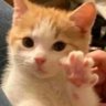 Profilbild von vicky
