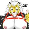 🏳️🌈 SRK/Love-Cat/GalaxyCat🌈's profile picture