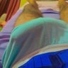 Lucas Hernandez profil fotoğrafı