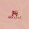 PekxansCreative🦍 profil fotoğrafı